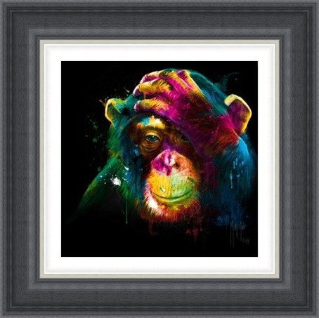 Darwin's Preoccupations by Patrice Murciano