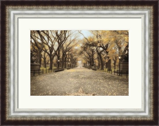 Walking in Central Park
