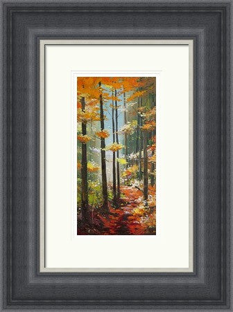 Woodland Light by Daniel Campbell