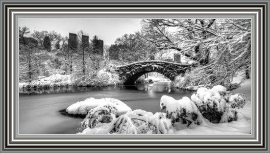 Central Park Winter, New York - Black and White