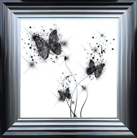 Butterflies White and Black