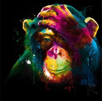 Darwin's Preoccupations by Patrice Murciano
