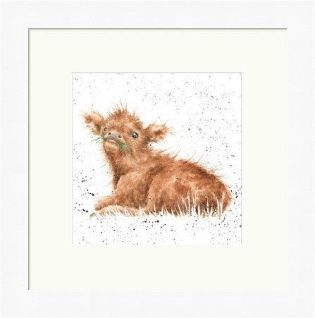 Wee Hamish by Hannah Dale