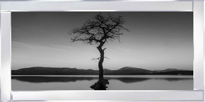 Reflected Tree, Loch Lomond - Black and White