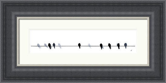 Swallows Waiting to Go by Sandra Vick