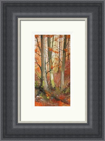 Autumn Amble by Daniel Campbell