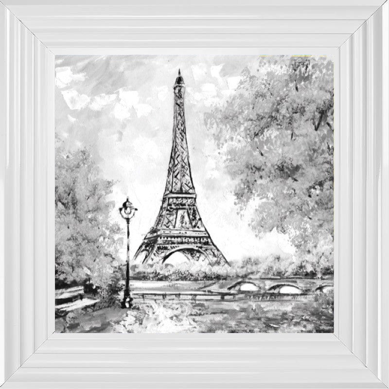 Paris Blossoms in Black and White II