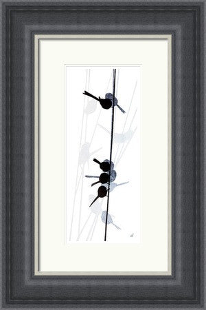 Long Tailed Tits in a Line by Sandra Vick