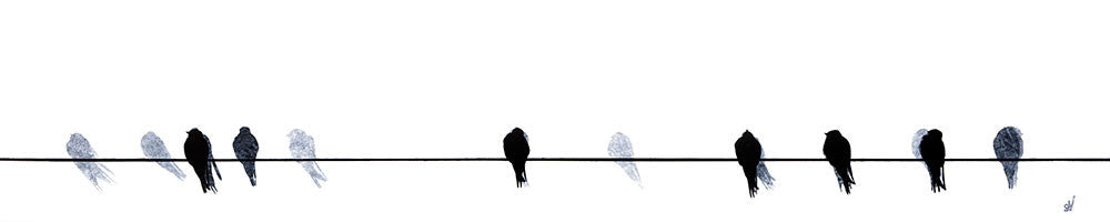 Swallows Waiting to Go by Sandra Vick