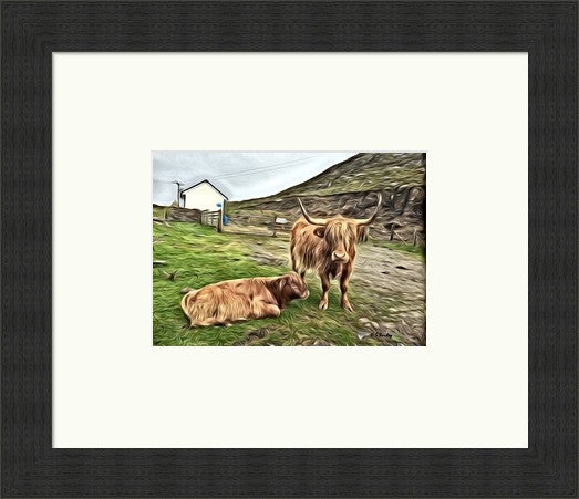 Heilan Coos - Petite