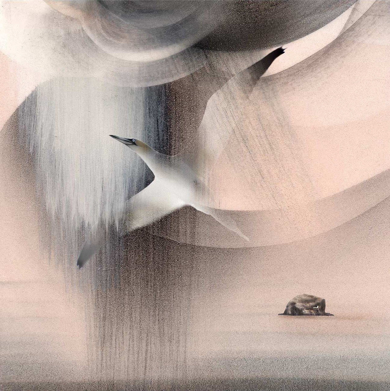 Flying High, Canty Bay Bass, Bird and Bass by Esther Cohen