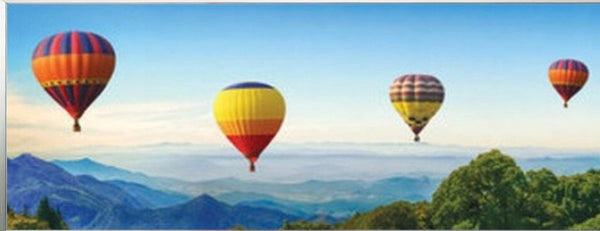 Hot Air Balloon Adventure