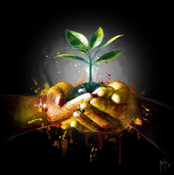 Amazonia by Patrice Murciano