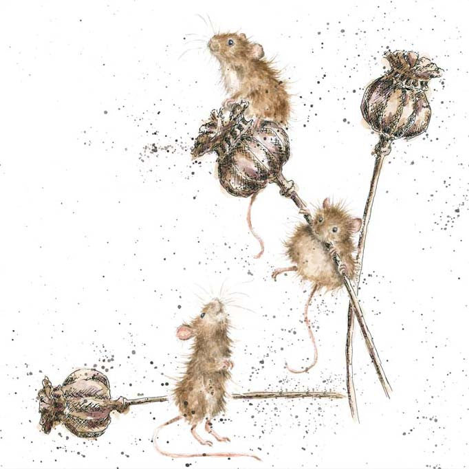 Country Mice by Hannah Dale