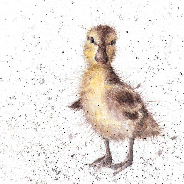 Just Hatched by Hannah Dale