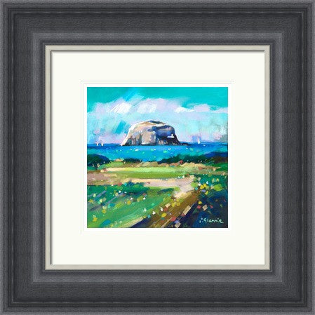 Summers Day, Bass Rock by Pam Glennie
