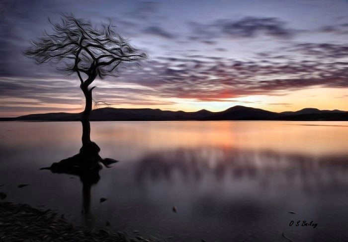 Reflections, Loch Lomond - Petite
