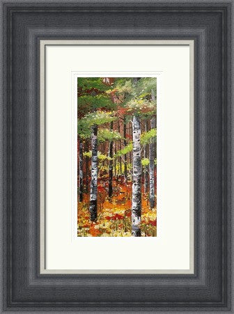 Silver Birches and Poppies by Daniel Campbell