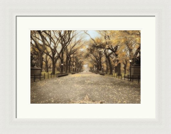 Walking in Central Park