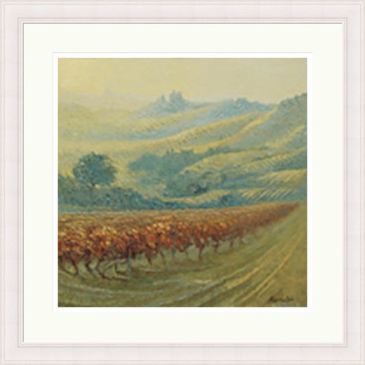 Piemonte Dogliani in Evening Light (Limited Edition) by Allan Cotton