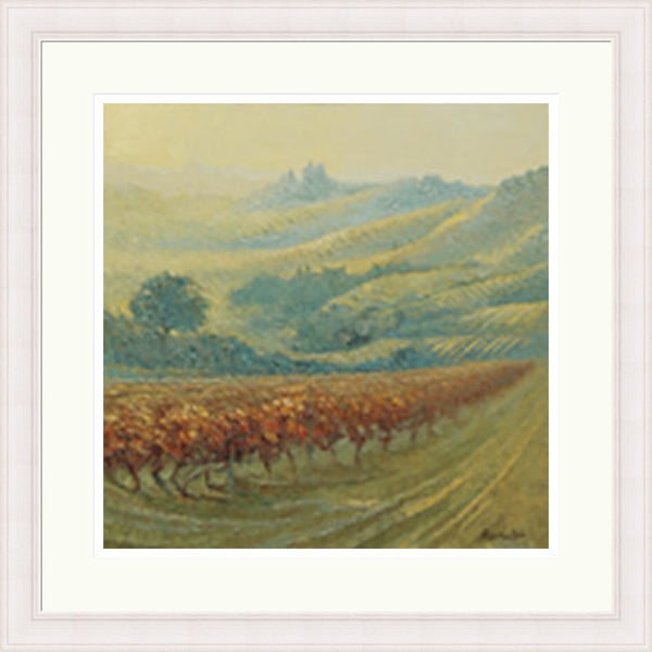 Piemonte Dogliani in Evening Light (Limited Edition) by Allan Cotton