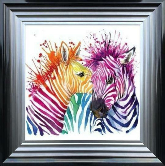 Colourful Zebras