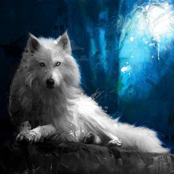 Cheyenne La Loup Blanc by Patrice Murciano