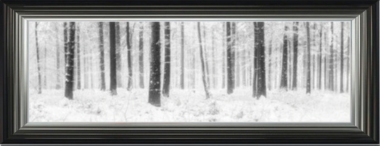 Winter Forest - Black and White