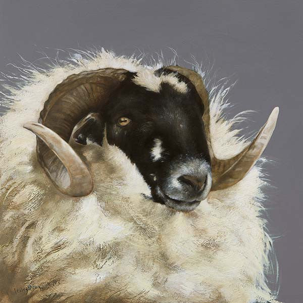 Handsome Ram by Lesley McLaren