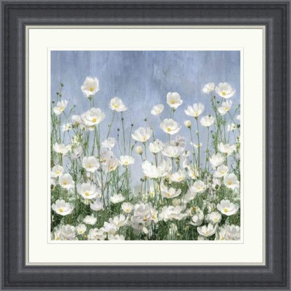 Cosmos Meadow by Tania Bello