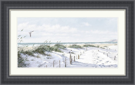 Footpath to the Beach by Richard ManNeil