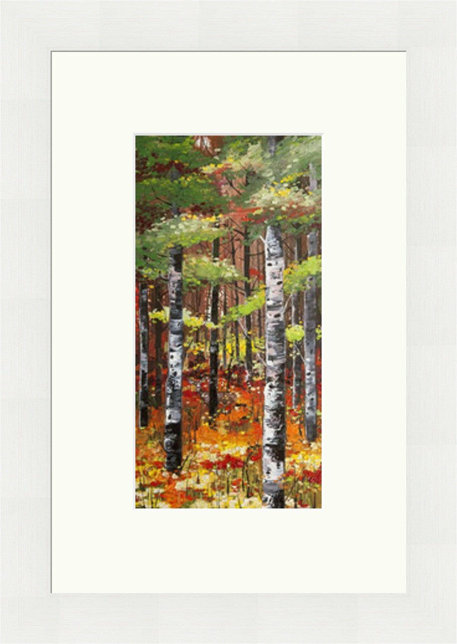 Silver Birches and Poppies by Daniel Campbell - Petite