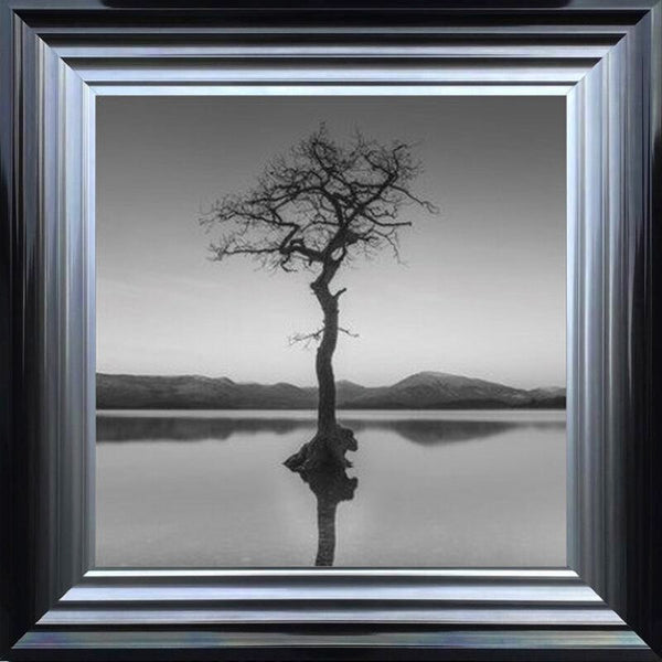 Reflected Tree, Loch Lomond - Black and White