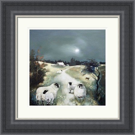 Blackies in the Evening Light by Lesley McLaren
