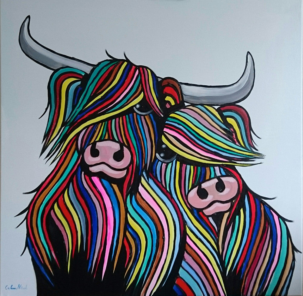 Wee Hug Heilan Coos by Callum Nicol