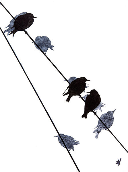 Starlings by Sandra Vick
