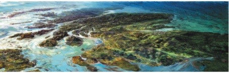 Beautiful Scotland by Ronnie Leckie