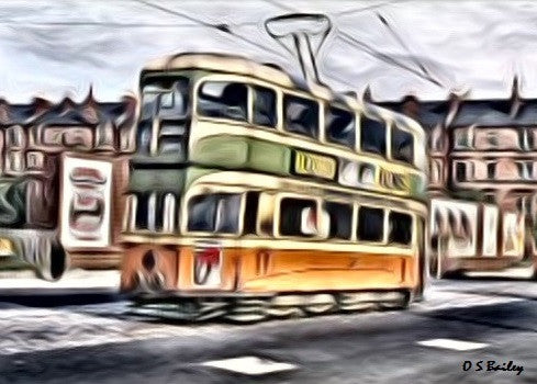Tram, Colour - Petite