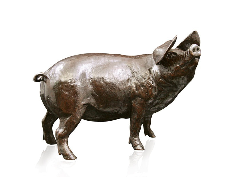 Gloucester Old Spot Bronze Pig Figurine by Michael Simpson (Richard Cooper Bronze)